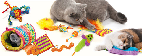 Cat toy